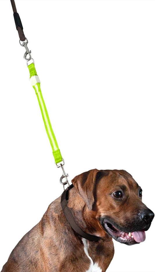 Extensión de correa de perro con luz LED de alta visibilidad verde, talla única