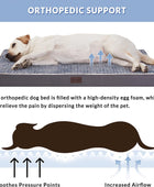 Cama ortopédica grande para perros medianos, grandes y extragrandes,
