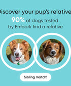 Kit de identificación de razas Prueba de ADN de perro más precisa Prueba de más