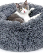 rabbitgoo Camas para gatos de interior, cama para gatos de 20 pulgadas, lavable