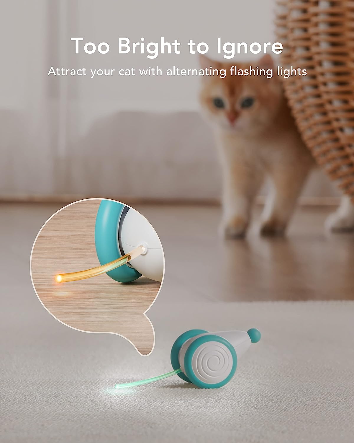 Juguetes interactivos para gatos de interior, juguete automático para gatos con