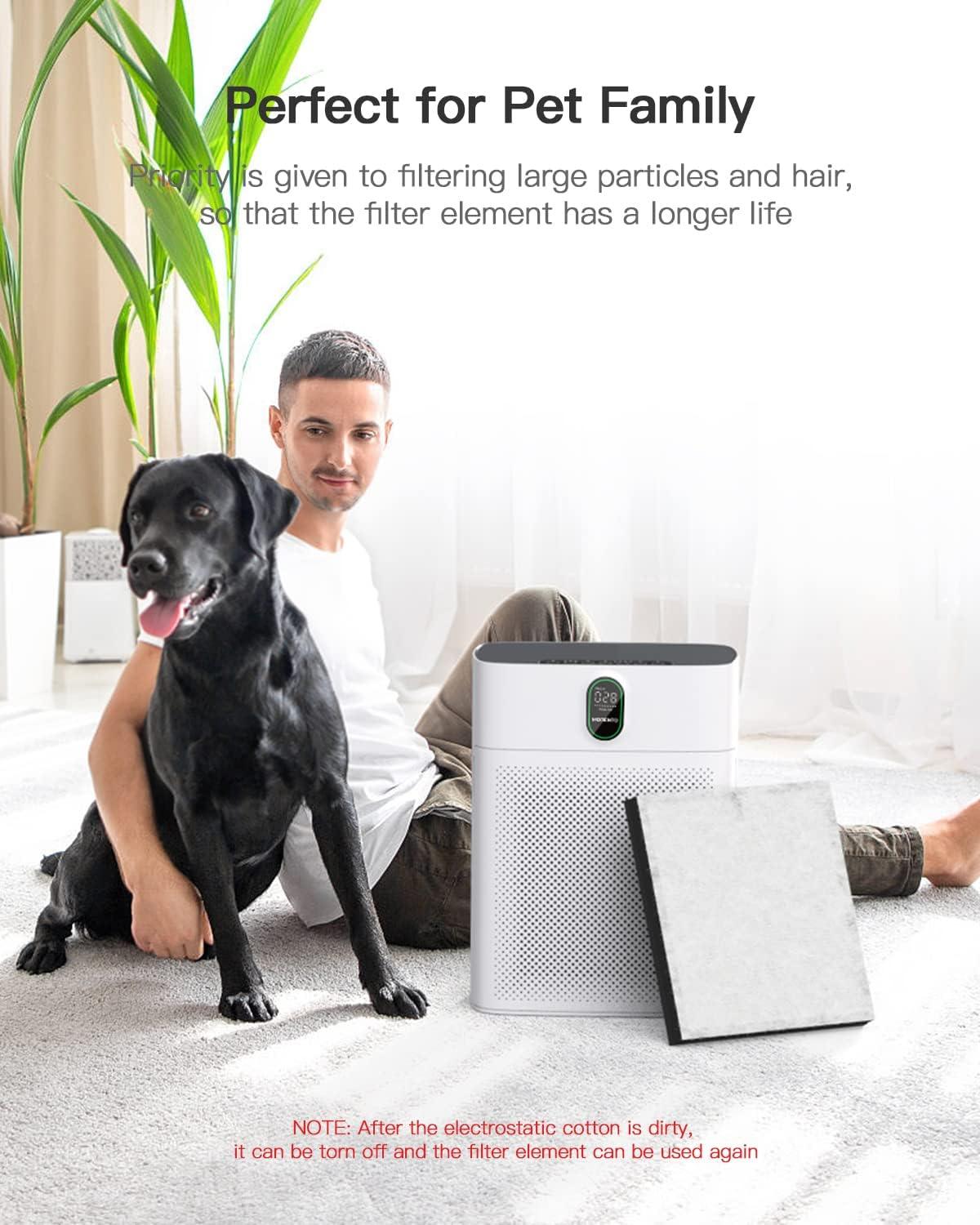 Paquete de 2 purificadores de aire para dormitorio del hogar con filtro  HEPA H13 para humo, fumadores, polvo, olores, polen, caspa de mascotas