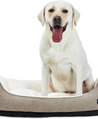 Cama para perro duradera, lavable a máquina, de tamaño mediano y cuadrada