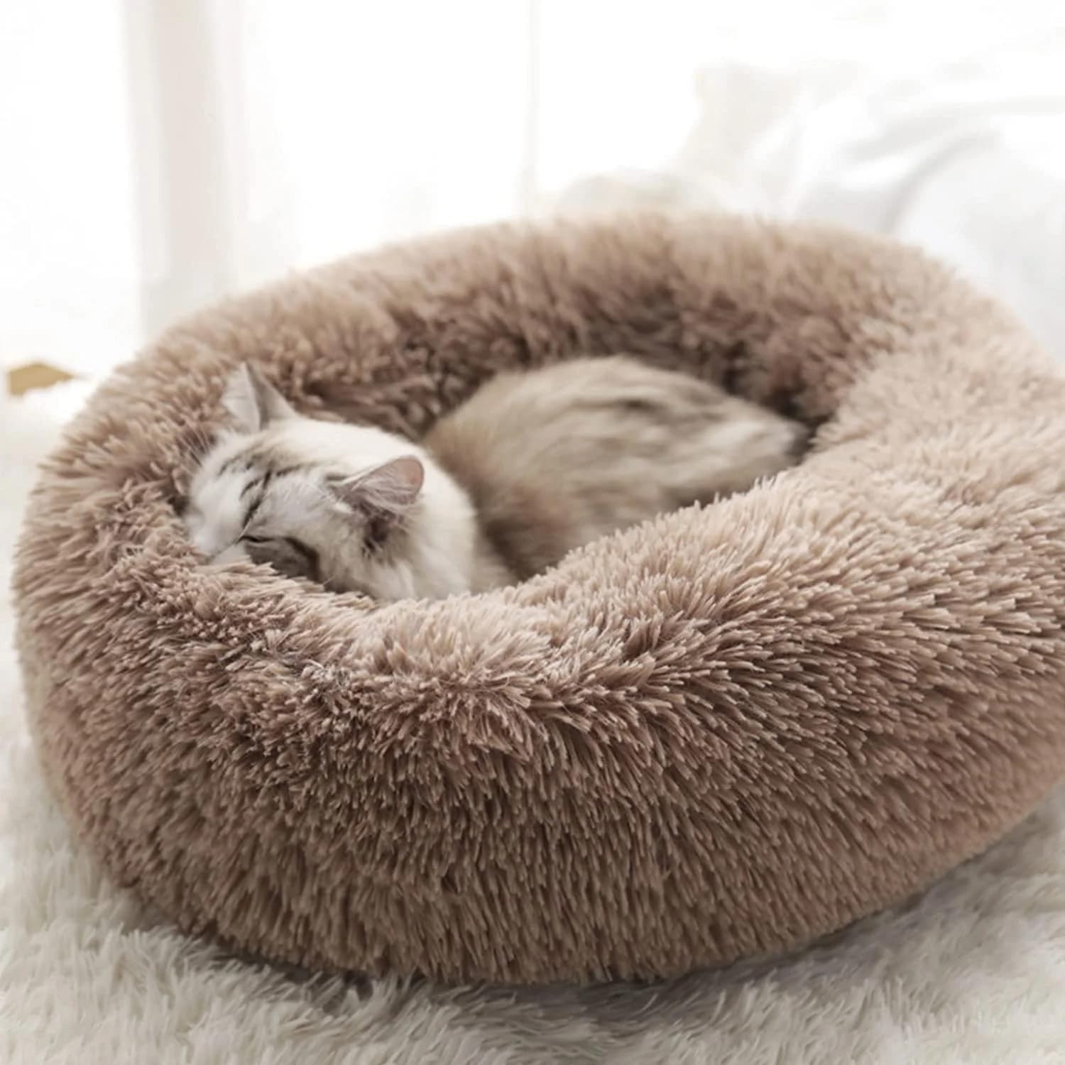 Camas para gatos de interior, camas para perros pequeños, cama redonda lavable