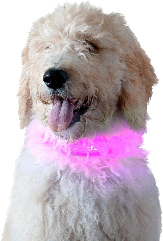 Collar de perro con luz LED de alta visibilidad, color rosa, pequeño