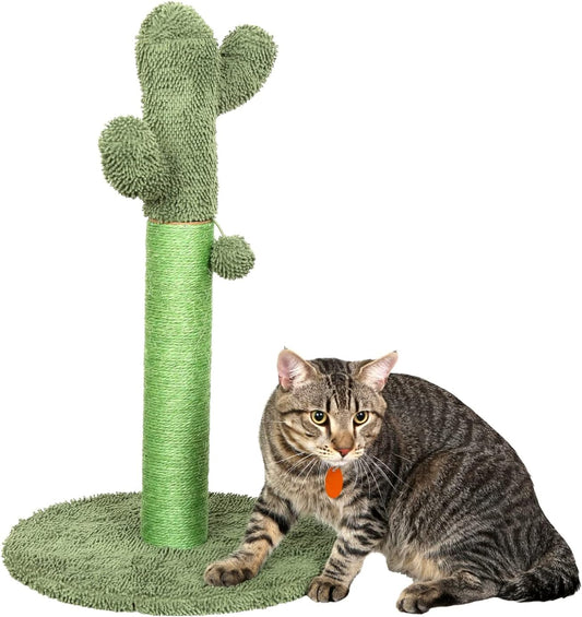 Rascador de cactus para gatos, para todos los gatos, rascador de garras para