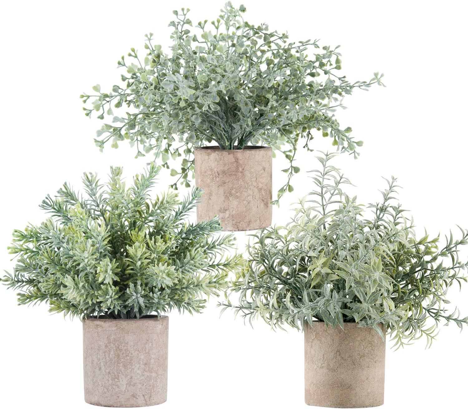 Mini plantas falsas en maceta, plantas artificiales de eucalipto pequeñas para - VIRTUAL MUEBLES