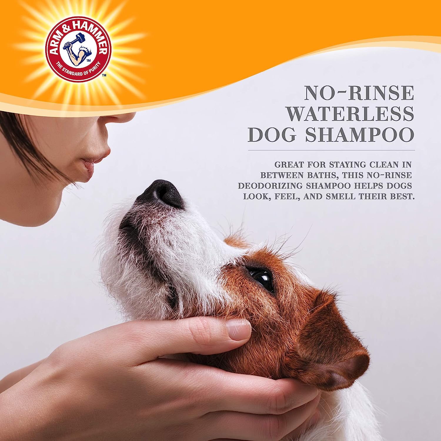 Arm & Hammer Espuma desodorizante ultra fresca sin enjuague para perros, niebla