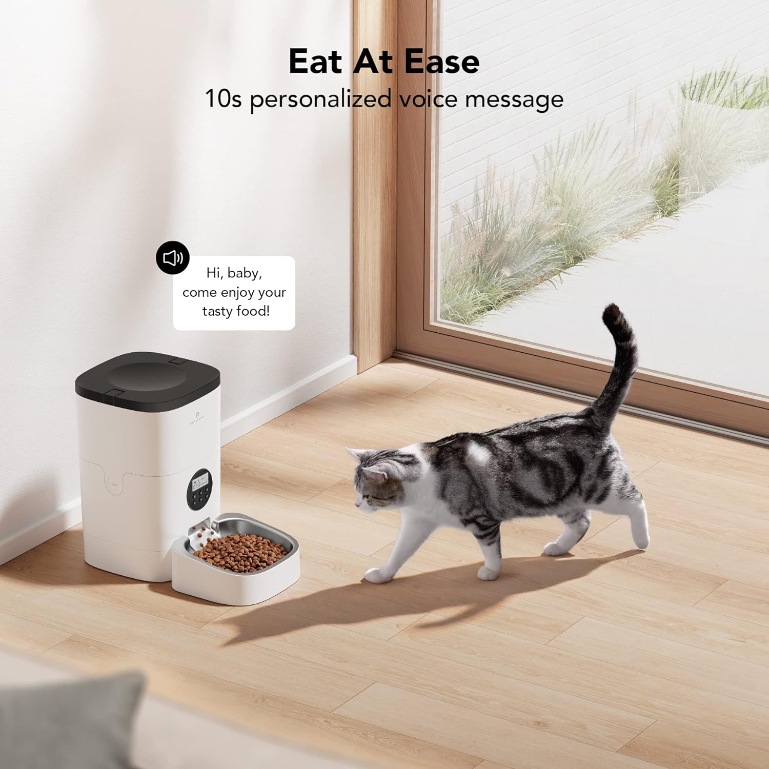 Dispensador de alimentos automático para gatos, horario de alimentación