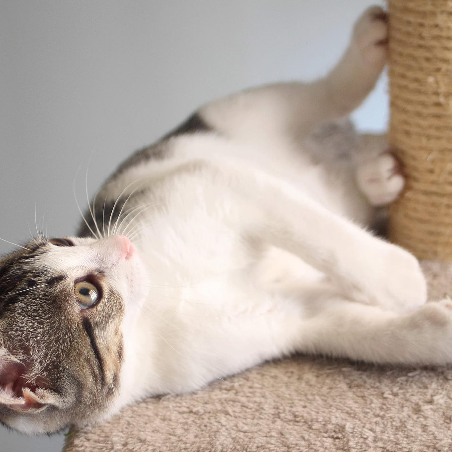 PETMAKER Poste rascador para gatos con base alfombrada, rascador de tela de