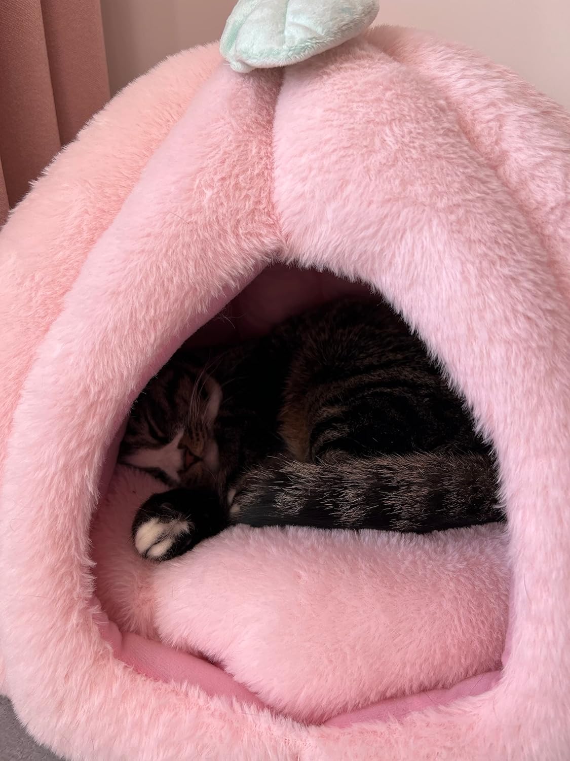 Casas rosadas para gatos de interior, cama suave para gatos, tienda de campaña