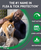 Frontline Plus para gatos y gatitos (1.5 libras y más) Tratamiento de pulgas y