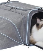 transportador de perros expandible para viajes con colchoneta de lana, aprobado