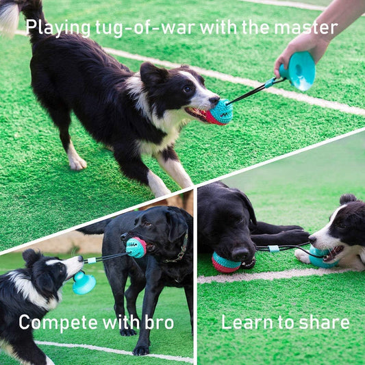 Juguetes para perros para masticadores agresivos, juguetes interactivos para