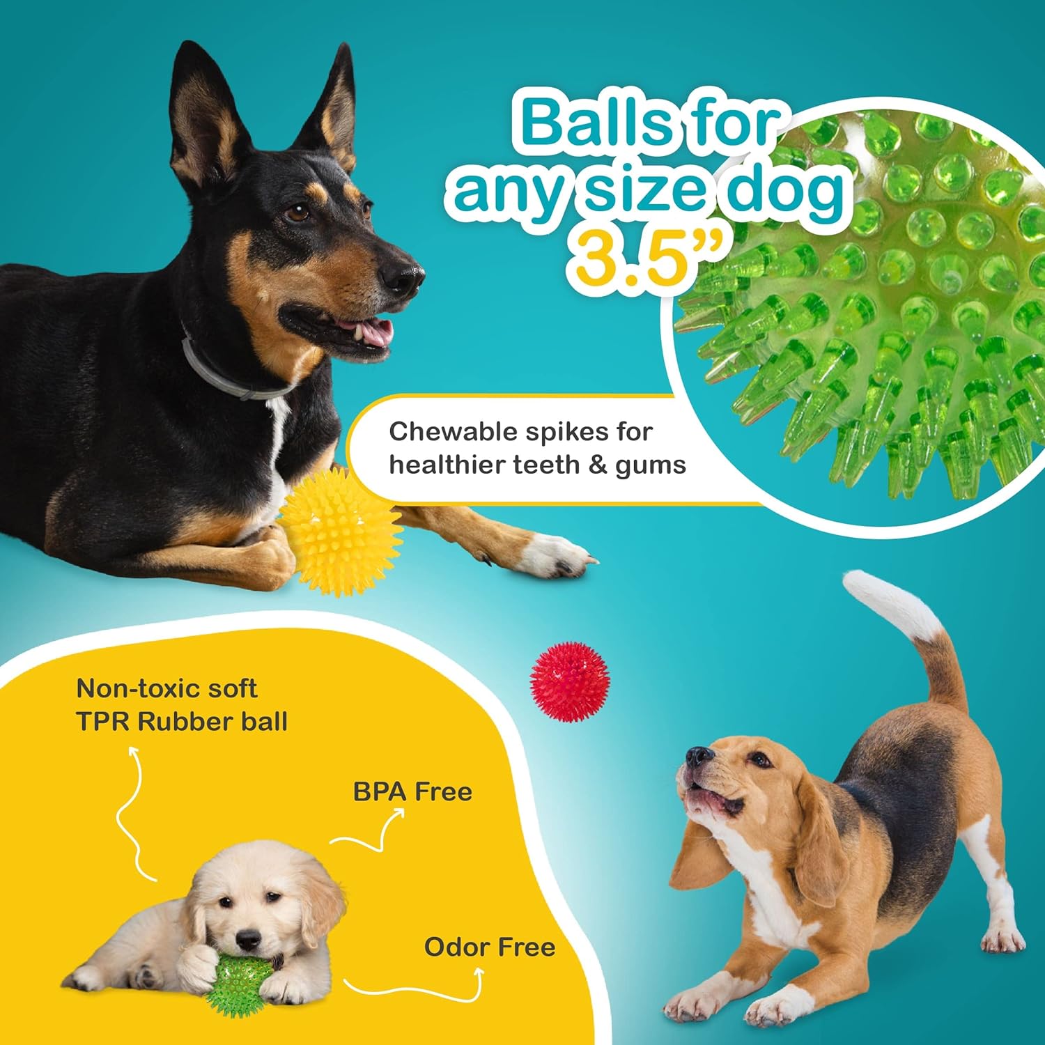 Pelota de juguetes para perros de 3.5 pulgadas, paquete de 3 bolas de  juguete chirriantes, pelotas para perros con pinchos, juguete masticable  para