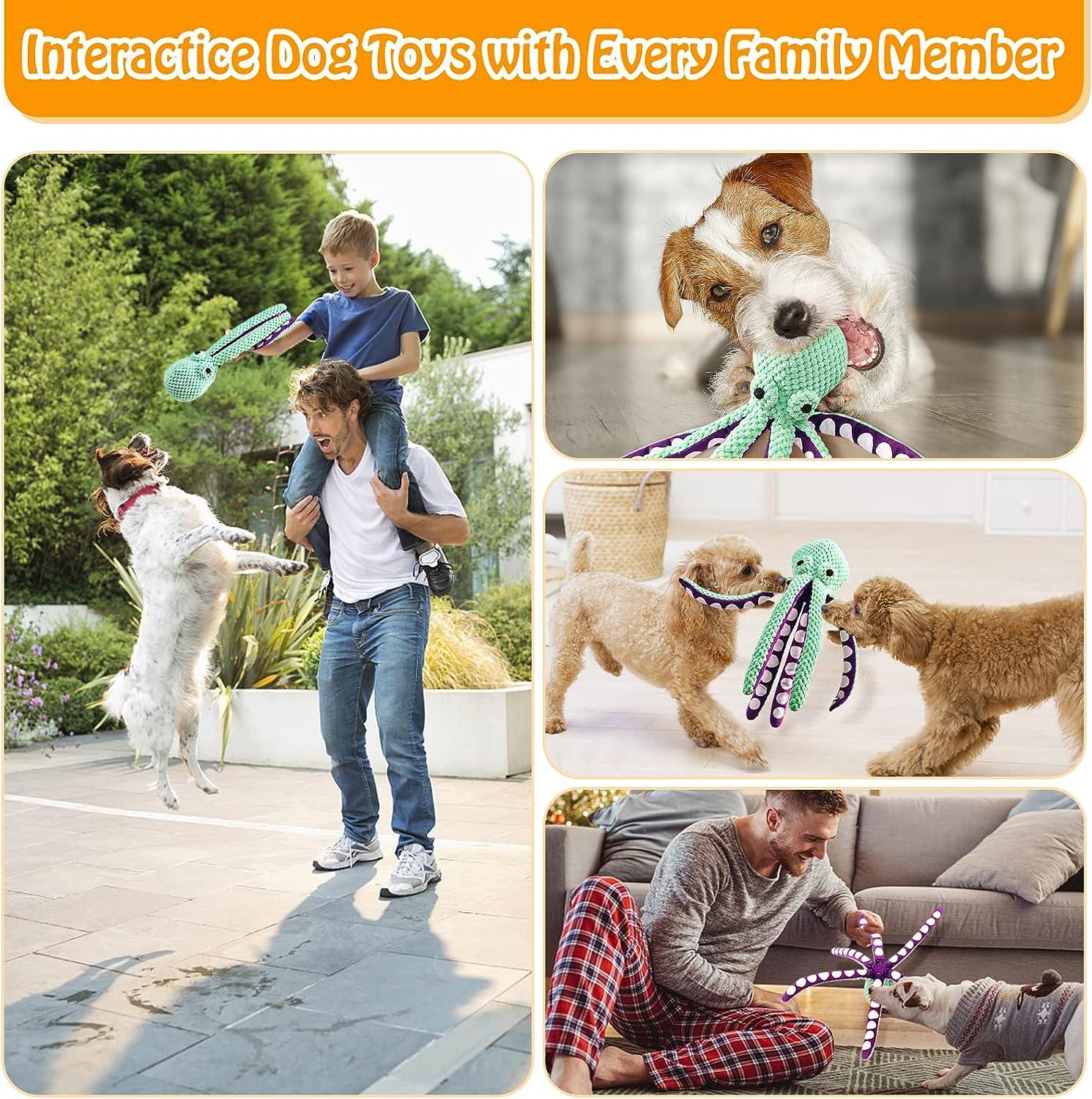 Juguetes interactivos para perros - Family DOG