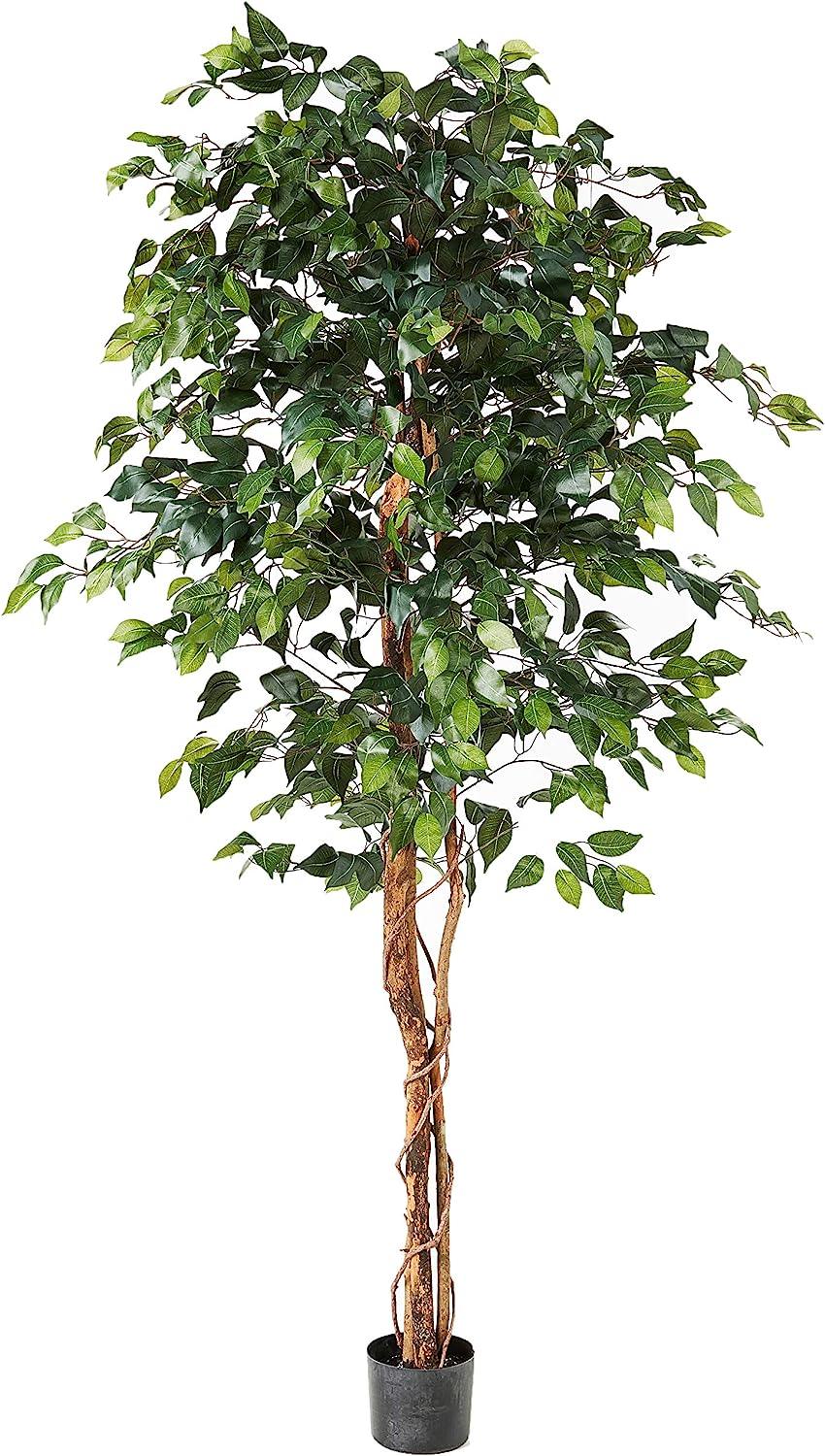 Ficus de 6 pies, árboles artificiales, 72pulgadas, verde - VIRTUAL MUEBLES