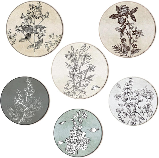 Barydat Juego de 6 impresiones artísticas de pared de plantas botánicas