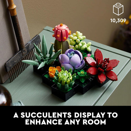 Icons Succulents 10309 Juego de plantas artificiales para adultos, decoración - VIRTUAL MUEBLES