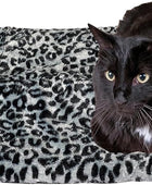 Colchoneta térmica para mascotas como perro o gato, cómoda, para dormir y para