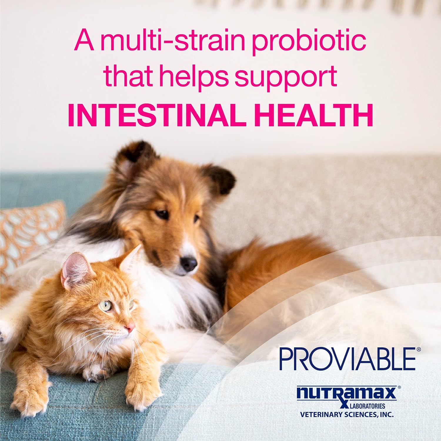 Nutramax, Suplemento suministrador de salud para gatos y perros, 30 unidades