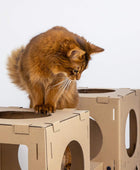 Navaris Casa modular de cartón para gatos Torre de juego configurable de cartón