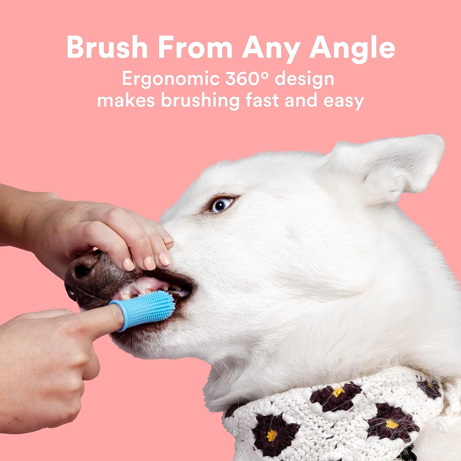 Cepillo de dientes para perros, kit de cepillado de dientes de perro 360 para