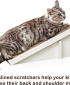 Rampa rascador de cuña inclinada prémium para gatos, zBoard reversible que dura