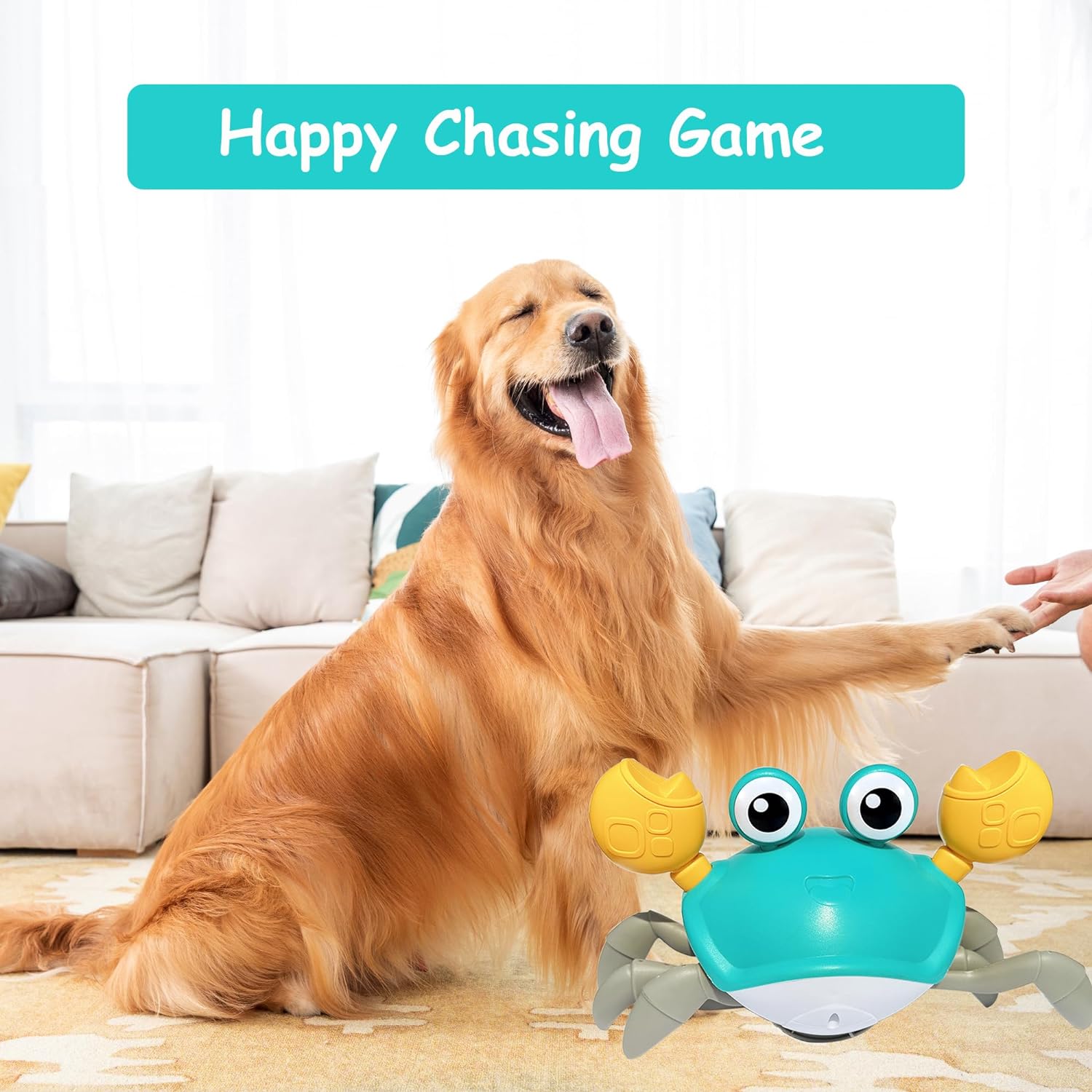 Juguetes interactivos para perros con Sensor de evitación de