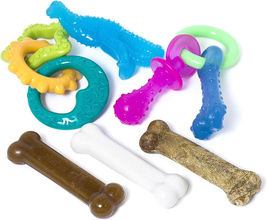 Nylabone Kit de iniciación para cachorros con juguetes para masticar kit para