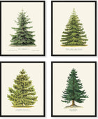 Goldie Days 4 impresiones de pinos, 8 x 10 pulgadas, decoración de invierno,