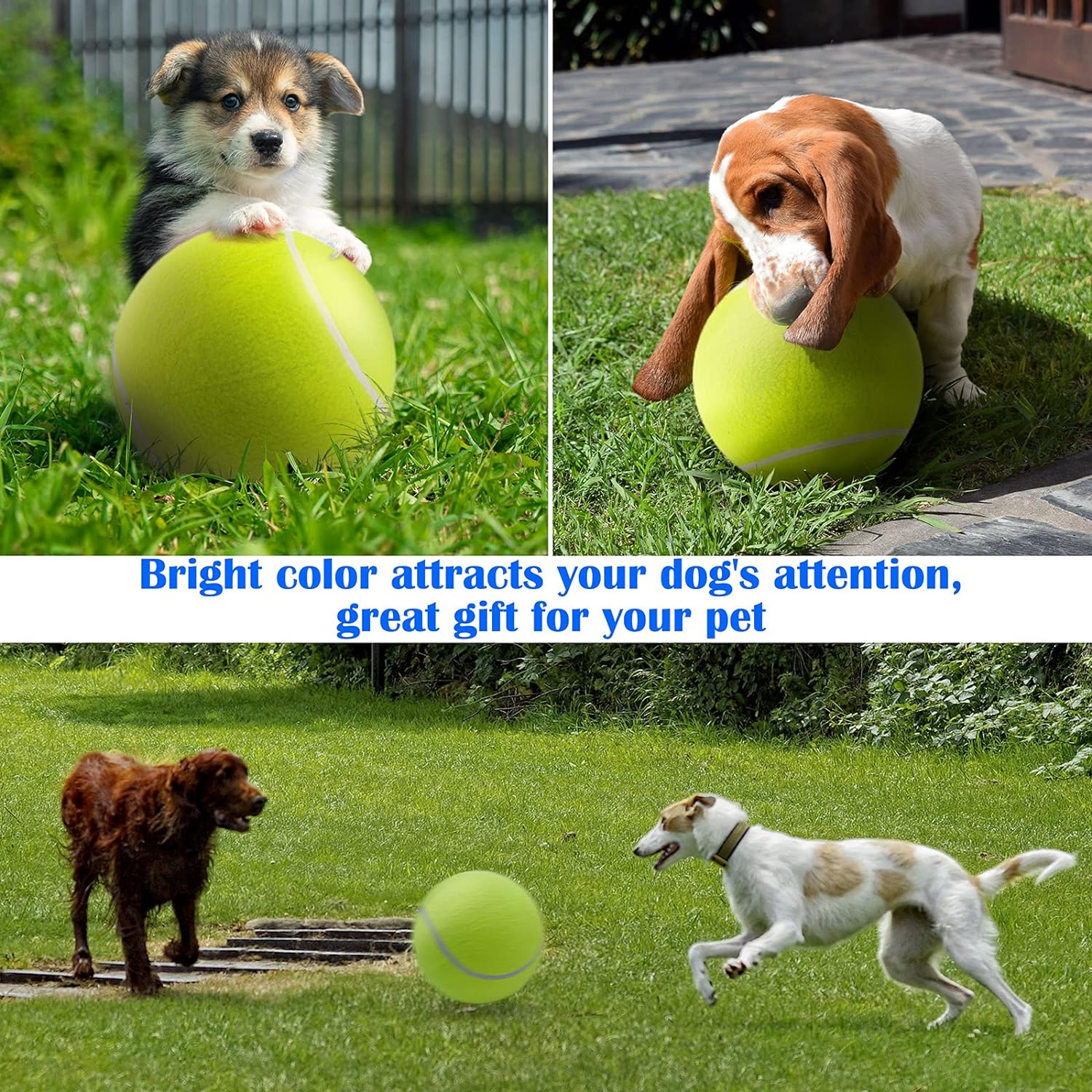 Juguete para perro pelota tipo tenis – Benito Moda para tu mascota