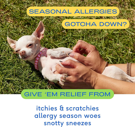 Alivio de la alergia para perros (30 masticables de pollo)