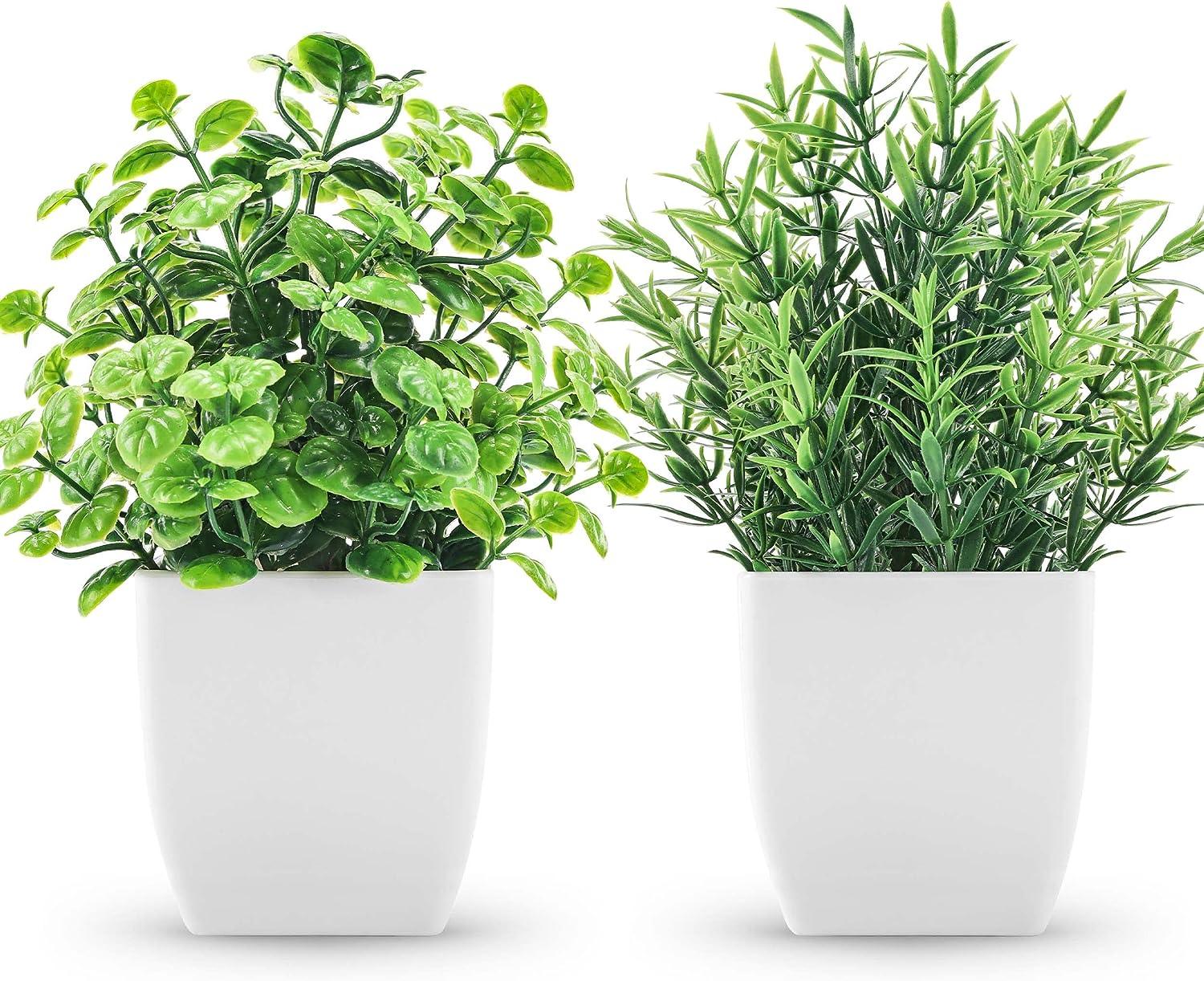 2 paquetes de plantas falsas pequeñas pequeñas plantas artificiales en -  VIRTUAL MUEBLES