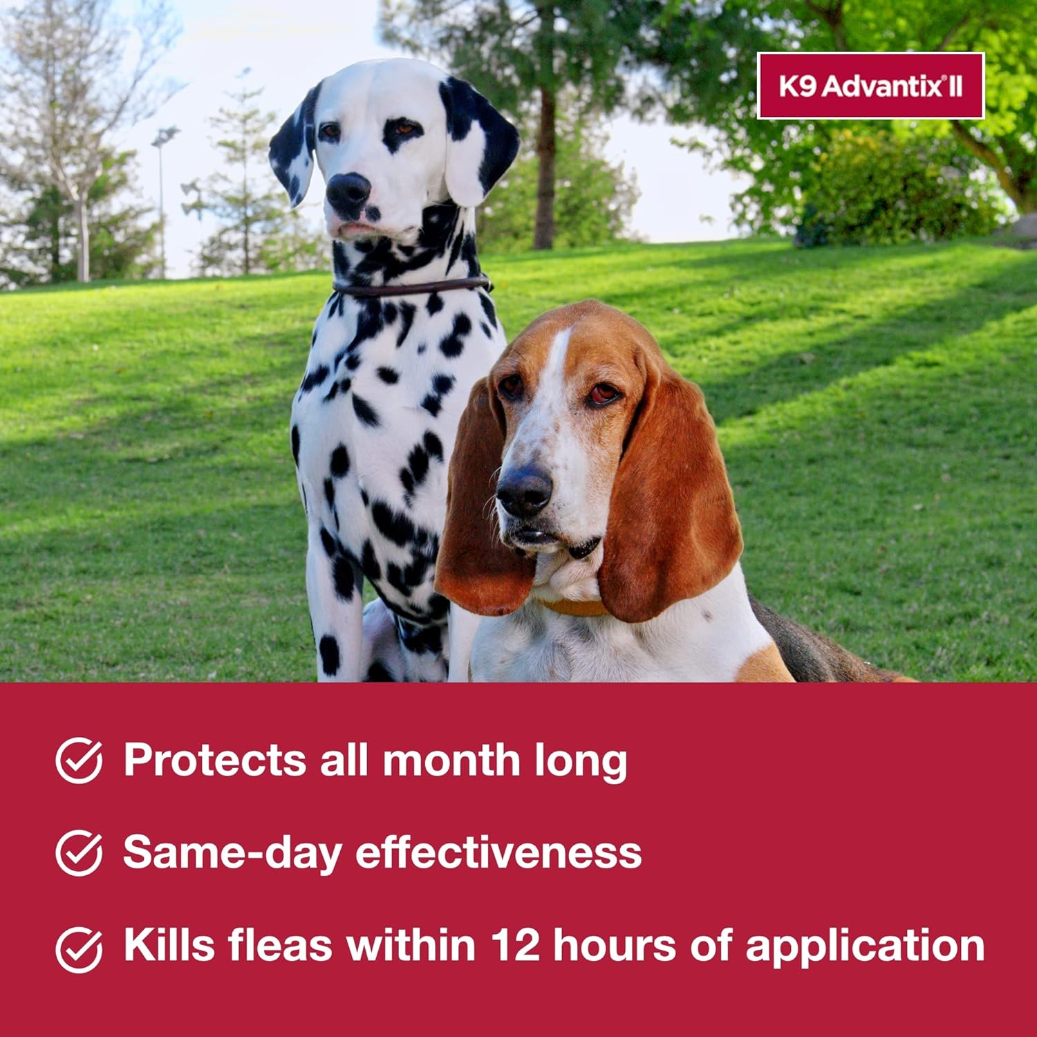 K9 Advantix II prevención de pulgas, garrapatas y mosquitos para perros