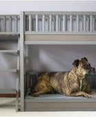 ECOFLEX Litera para perro con cojines extraíbles en color gris