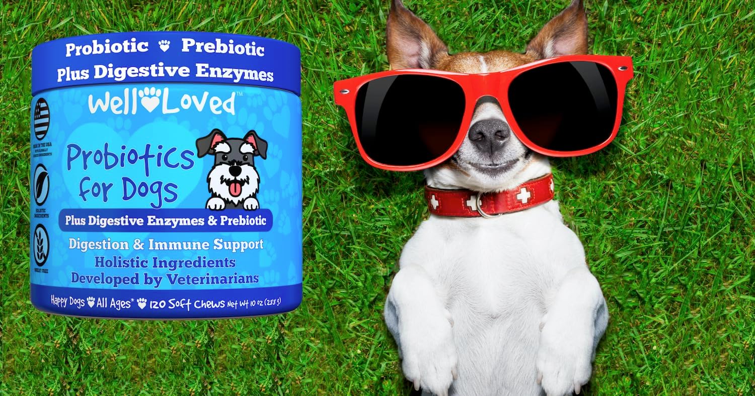 Probióticos para perros, probióticos para perros y enzimas digestivas,