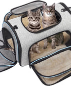 Transportador de mascotas aprobado por aerolíneas, bolsa de viaje para perros y