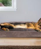 Cama para perros, cojín de almohada tradicional sofá y colchón de espuma