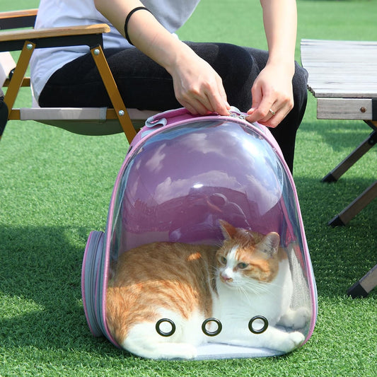Mochila para gatos con burbujas, 2 unidades, mochila transportadora para gatos,