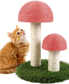 Rascador para gatos con forma de hongo natural, duradero, para la salud del