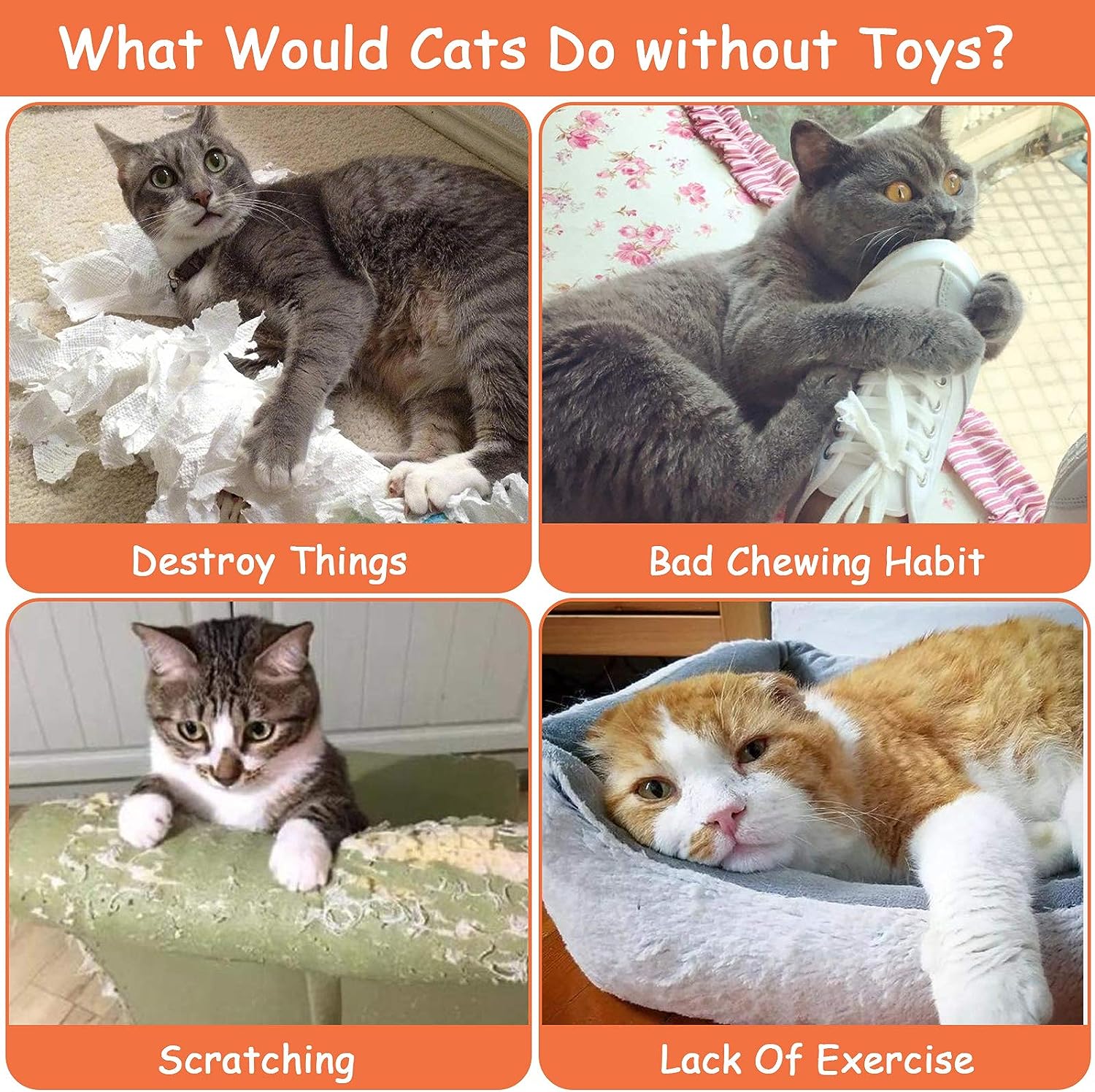 Juguetes de hierba gatera, juguetes para gatos, juguetes para gatos de