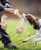 Fida Juguetes de cuerda para perros para masticadores agresivos