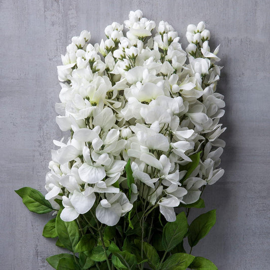 Ashland Arbusto de glicina blanca - VIRTUAL MUEBLES
