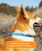 PAWBLEFY Collares personalizados para perros, collar de nailon reflectante