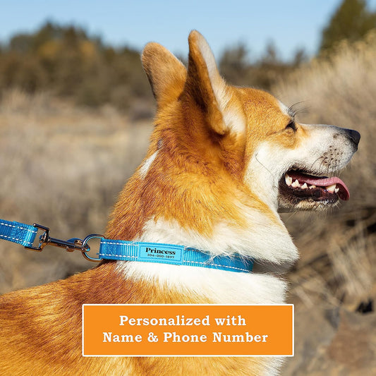 PAWBLEFY Collares personalizados para perros, collar de nailon reflectante
