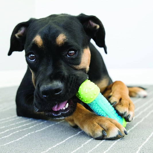 CoreStrength Bone Juguete masticable para perros Juguete duradero para perros