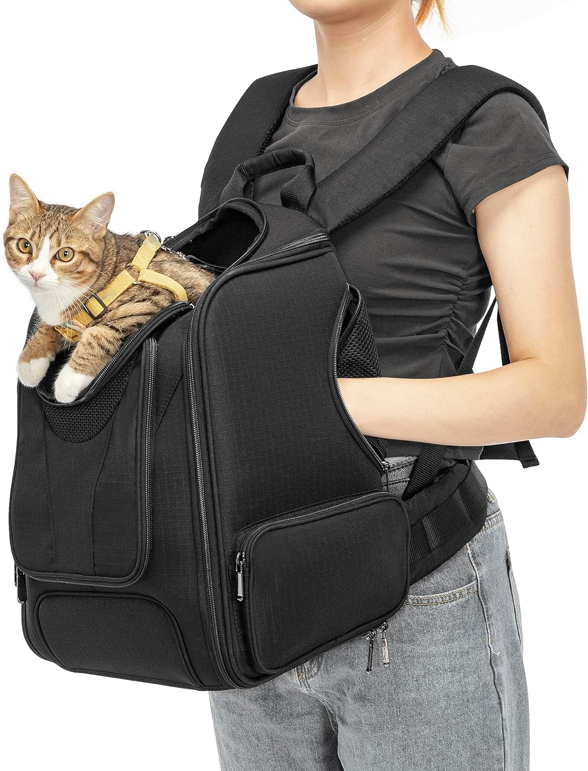 Mochila transportadora para mascotas, mochila transportadora para gatos
