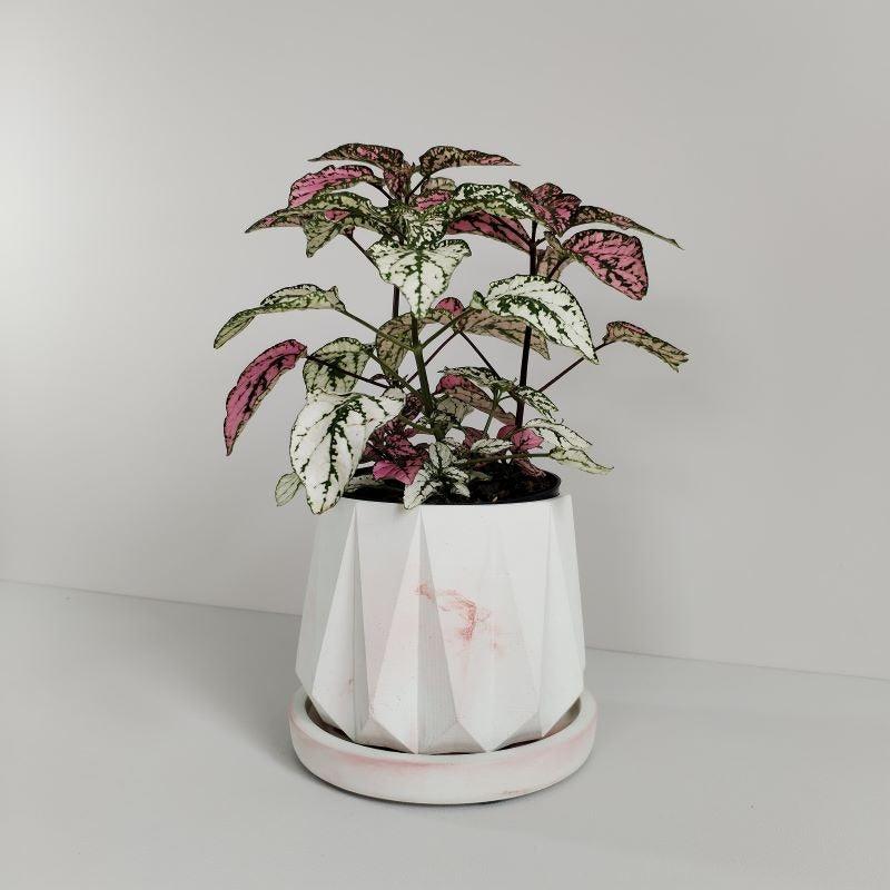 Matera Lirio de Cemento 10.5x10 cm Mármol Rosa - VIRTUAL MUEBLES