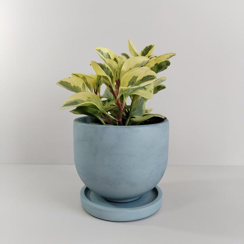Matera María de Cemento 12.5x15 cm Azul Petróleo - VIRTUAL MUEBLES